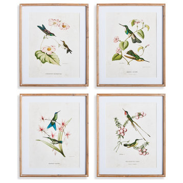 Hummingbirds With Blush Blooms Gallery, Set of 4