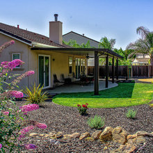 New Back Yard
