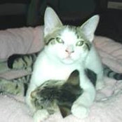 Shane Tryon's photo