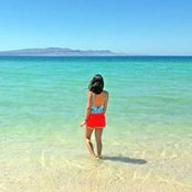Barbara Puig's photo