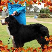 Robyn McCully's photo