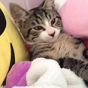 Sophie Sharpin's photo