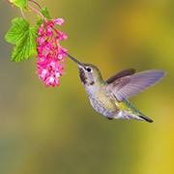 Patty O'Keefe's photo