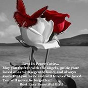 Darrel MacDonald's photo