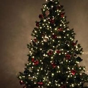 Sharon Holston's photo