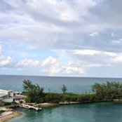 Joann Bloomfield's photo