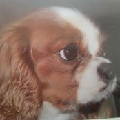 Frances Rung's photo