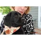 Debbie D'Ambrosio's photo