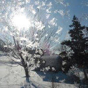 Janet Sullins's photo