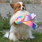 Whitney Roberts Davinci Papillons's photo
