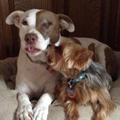 Becky Pearce's photo