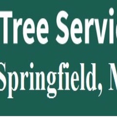 Tree Service Springfield MA