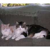 Jean Orava's photo