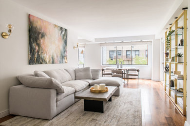 Living room - living room idea in New York