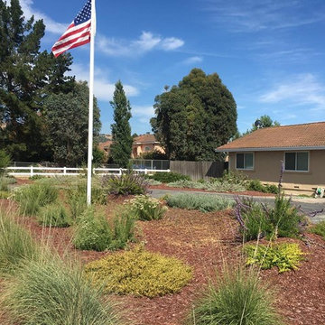 Gilroy Drought Tolerant Ranch House