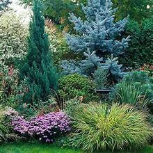 wilda Landscaping and pool