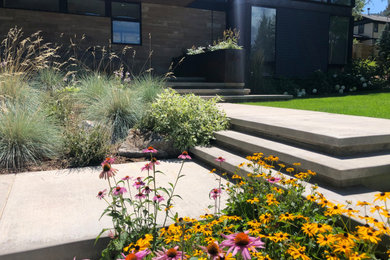 Photo of a contemporary landscaping in Denver.