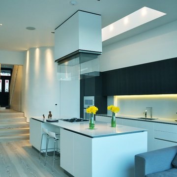 Contemporary Extension Chiswick