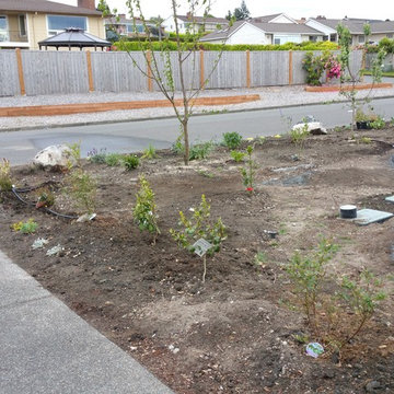 Edible Front Yard