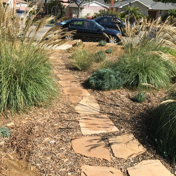Bermed front yard