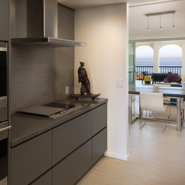 La Jolla Contemporary Condo Renovation