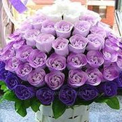 Zeinab Tharwat's photo