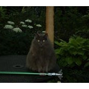 Jane Hincemon's photo