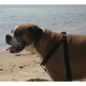 Brian Condon's photo