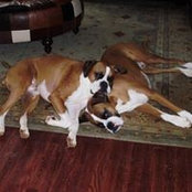Rose Thomas-Stoddard's photo