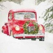 Cathy Whipp's photo