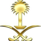 محمد العموديs billede