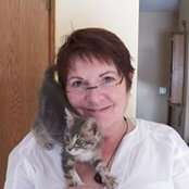 Lisa Chases billede