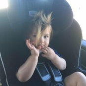 Sheila Mitchell's photo