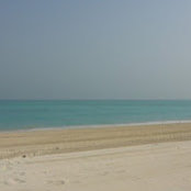 Iktimal Hamed's photo