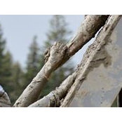 Tracy Hansford's photo