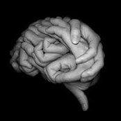 Tarik Bruncevic's photo