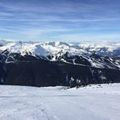 Bernardo Montemayor's photo
