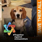 RaeAnn Gustafson's photo