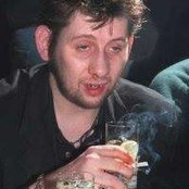 Sloppy Palace's photo
