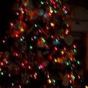 Shellie Segerson Raines's photo