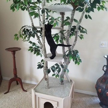 Unique Cat Trees