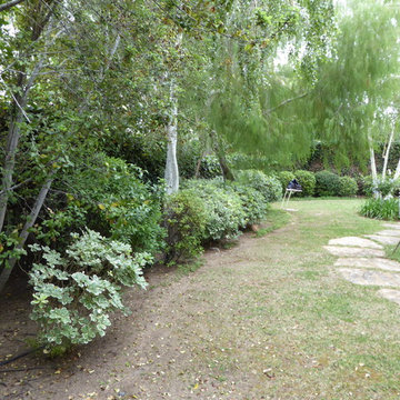 Curb Appeal Boost and Fire Pit Replace Lawns