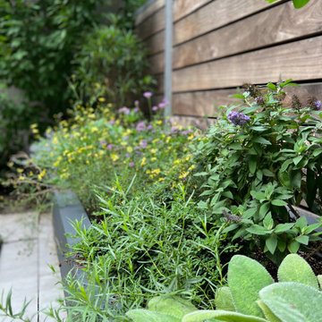 Williamsburg Terrace Garden