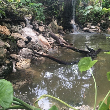 Custom Ponds
