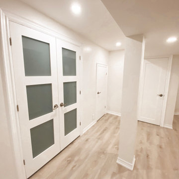 Basement Renovation - Project Primont
