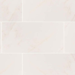 ADELLA CALACATTA 12X24 SATIN - Products