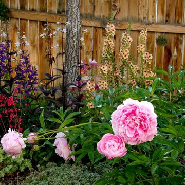 Rustic Garden