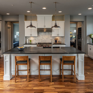 Kitchen Update - Bellevue, WA