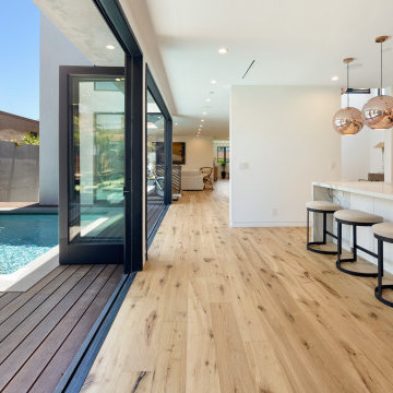 Venice Beach Contemporary