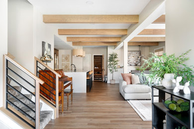 Transitional basement photo in Minneapolis